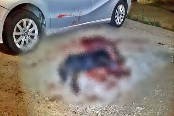 Ataque de rottweilers deixa homem ferido e mobiliza forças de segurança em Cascavel