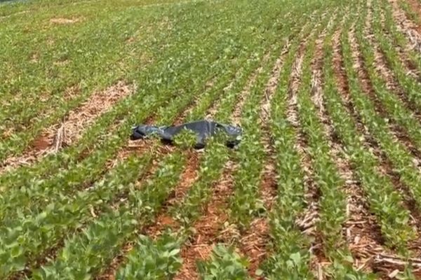 Imagem referente a notícia: Perseguição policial termina com um morto e outro ferido na BR-369 entre Corbélia e Cascavel