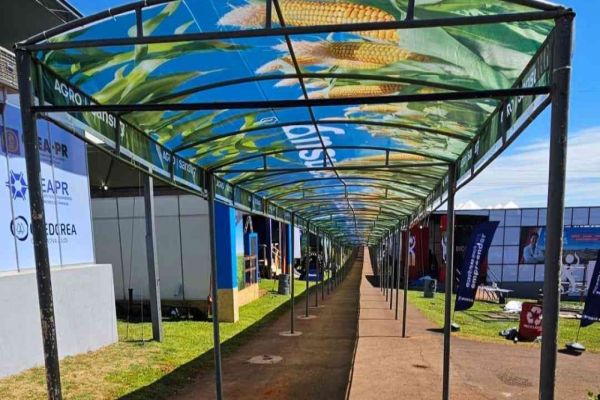 Imagem referente a notícia: Show Rural 2026 terá 11 km de ruas cobertas