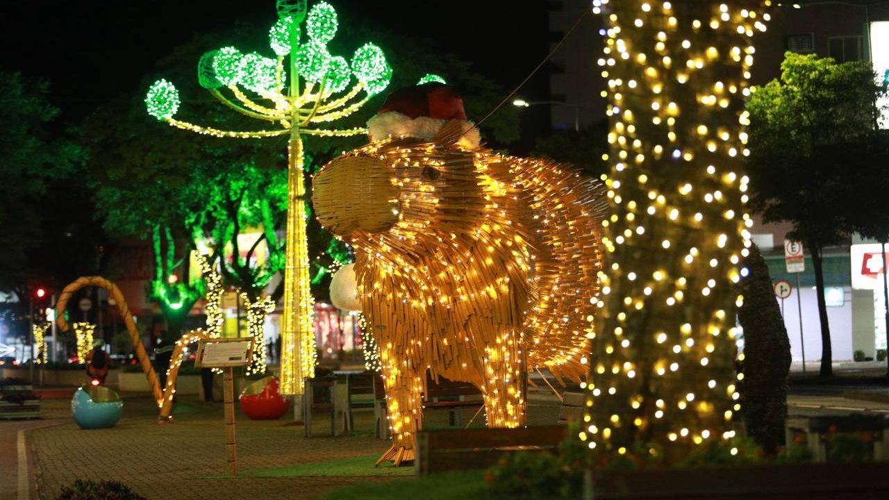 Com decoração sustentável, Cascavel se ilumina para viver a magia do Natal de Luz e Paz