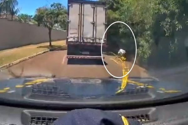 Imagem referente a notícia: Operação conjunta apreende mais de uma tonelada de maconha após perseguição no Paraná