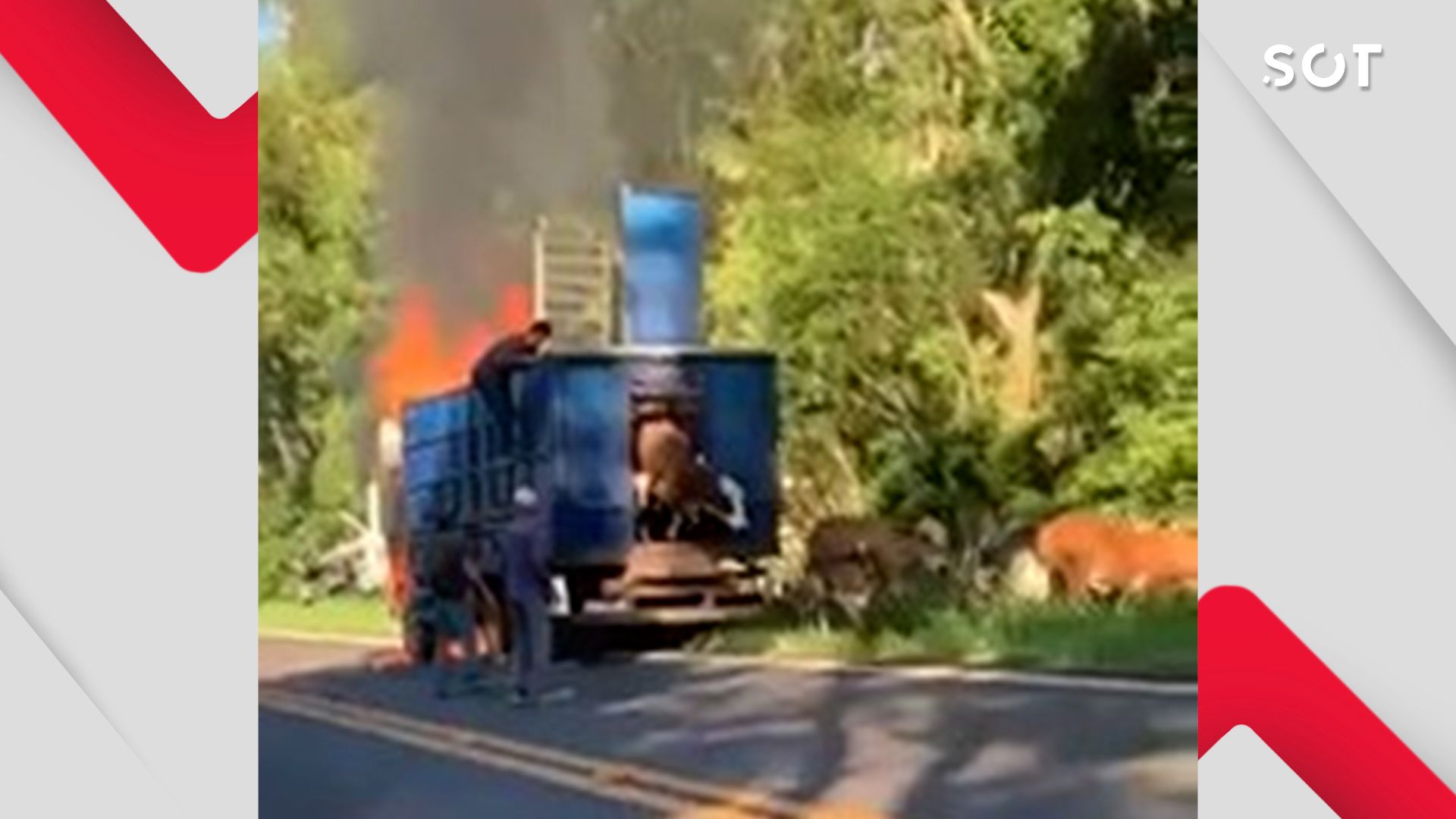 Caminhão boiadeiro pega fogo na PR-317 em Ouro Verde do Oeste