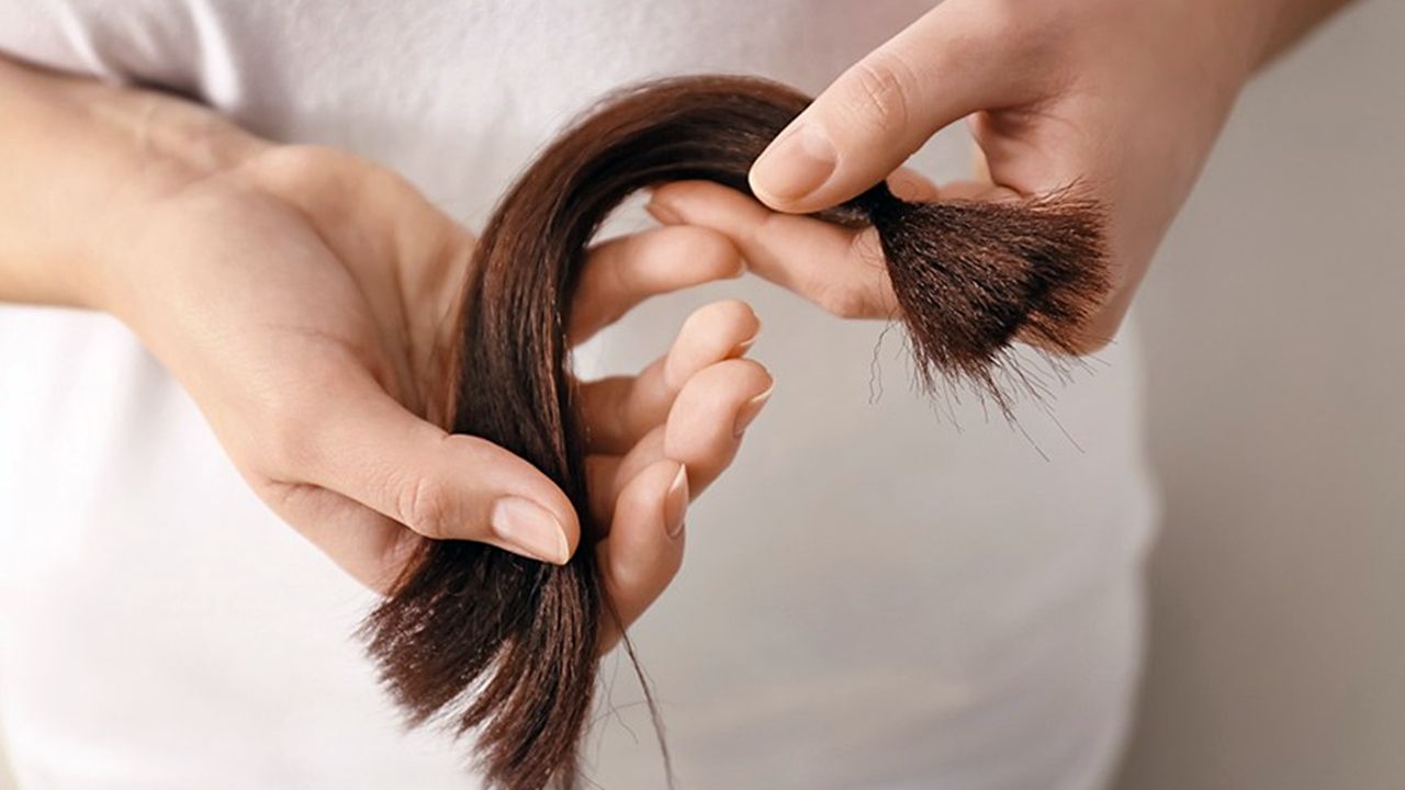 Projeto quer incentivar doação de cabelo para pessoas em tratamento de câncer em Cascavel