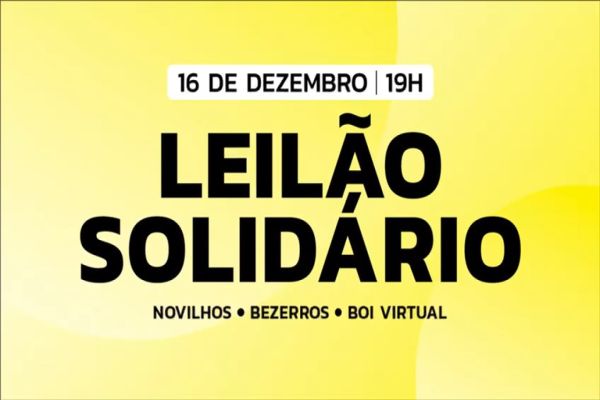 Leilão Solidário dia 16 vai levantar recursos à Apae e Talentos de Jesus