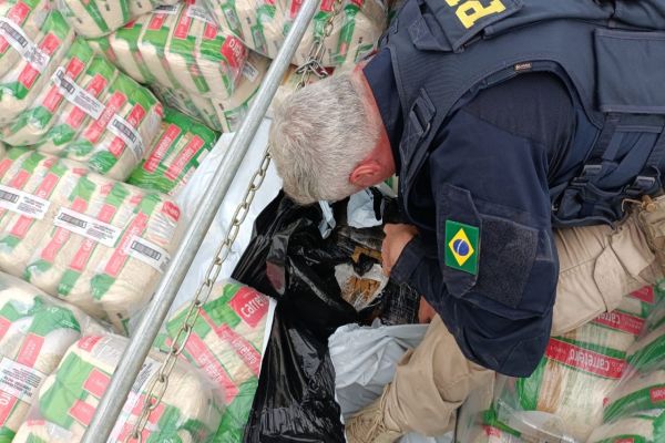 PRF desmantela esquema de tráfico ao apreender mais de 3 toneladas de maconha em Maringá