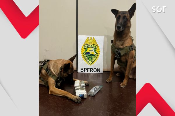 Imagem referente a notícia: Ação do BPFRON com Cão de Faro revela esquema de drogas e contrabando em Ônibus de Cascavel
