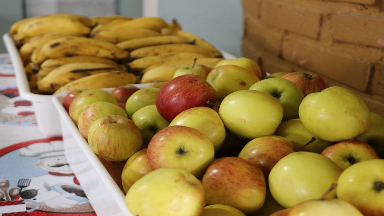 Paraná adquiriu 5 mil toneladas de alimentos orgânicos para a merenda escolar em 2025