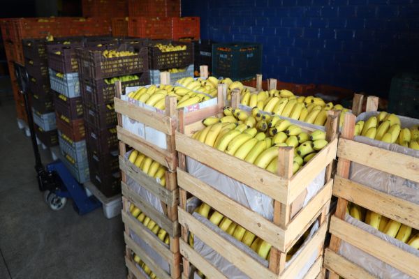 Preços de alimentos e bebidas caem em todas as regiões do Paraná em novembro