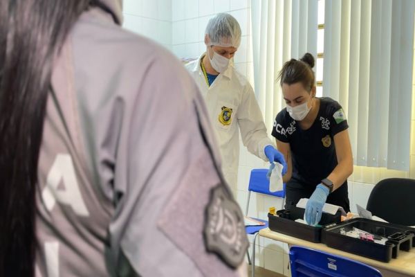Paraná amplia banco de perfis genéticos para casos criminais e cresce 15% em 12 meses