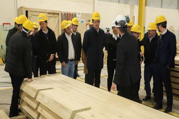 Paraná propõe compra de créditos tributários e redução de ICMS para auxiliar setor madeireiro