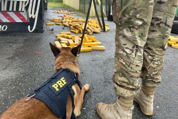 PRF apreende quase meia tonelada de droga escondida em pneus de carreta, na BR-277