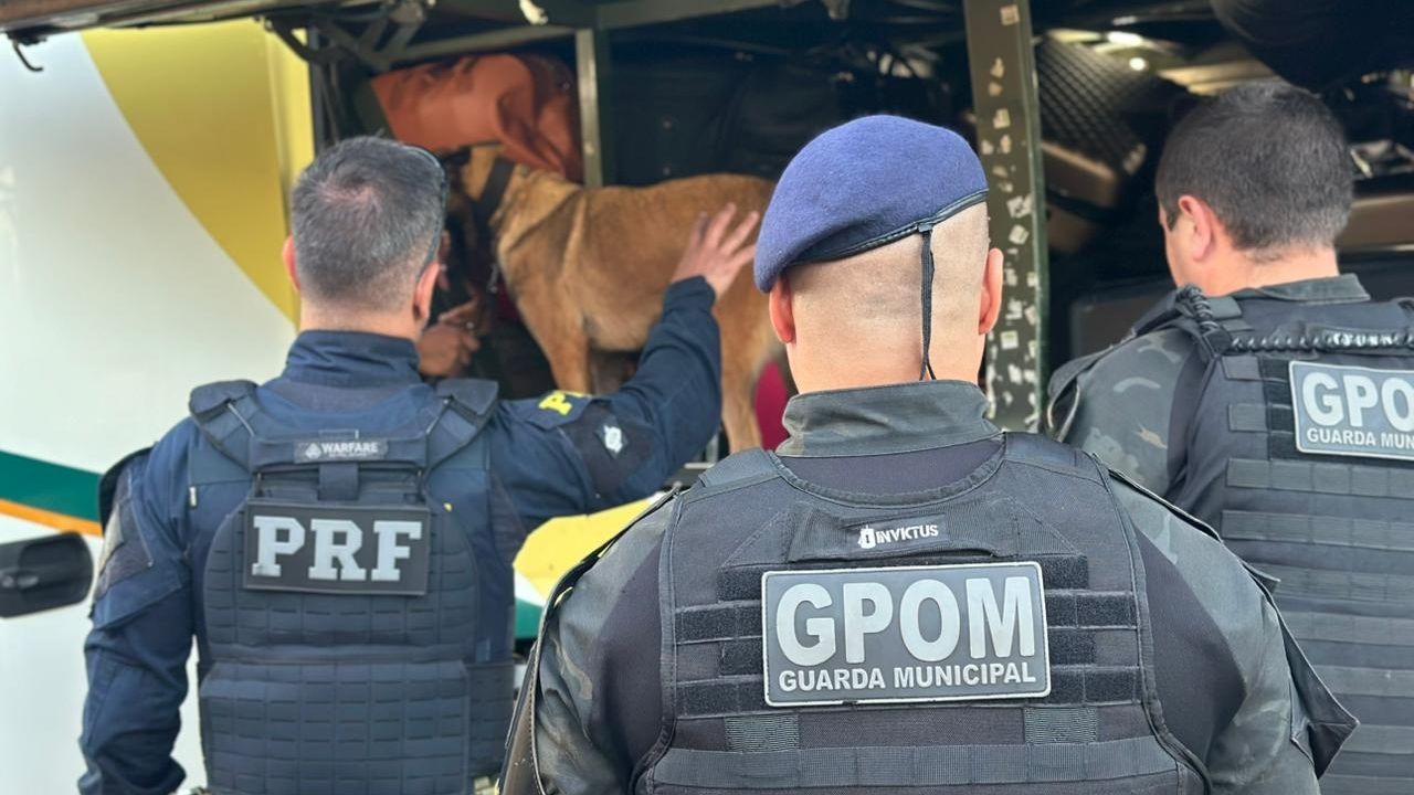 PRF e GM de Cascavel reforçam fiscalização e apreendem produtos irregulares na BR-277