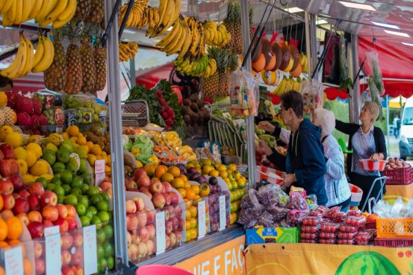 Com aumento de 11,8%, Paraná alcança saldo de 143 mil novas empresas em 2025