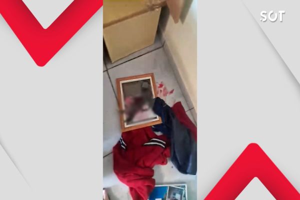 Imagem referente a notícia: Homem é detido pela GM por violência doméstica e maus-tratos a animal em Cascavel