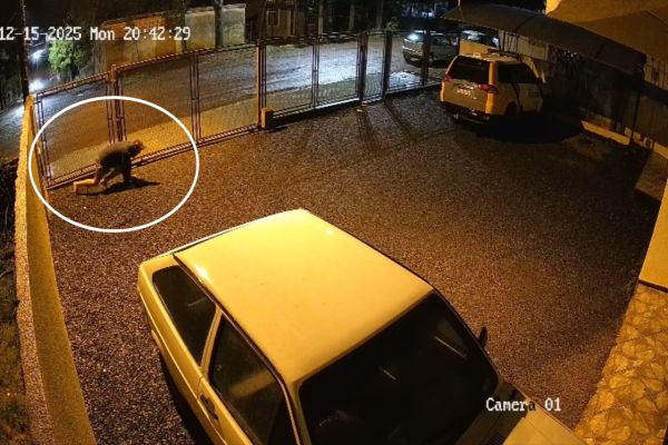 Imagem referente a notícia: Homem invade destacamento da PM em Três Barras do Paraná e é encaminhado à delegacia