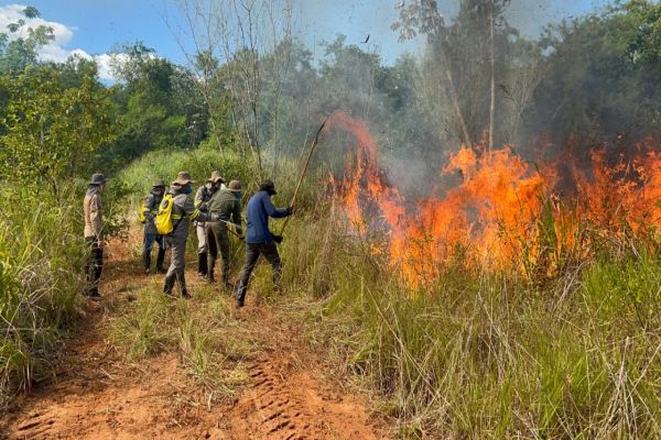 Imagem referente a notícia: Itaipu registra redução histórica no índice de incêndios florestais em 2025