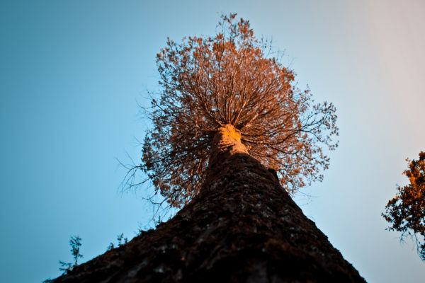 Aeroporto Regional de Cascavel recebe exposição fotográfica "CaMinho da Luz"