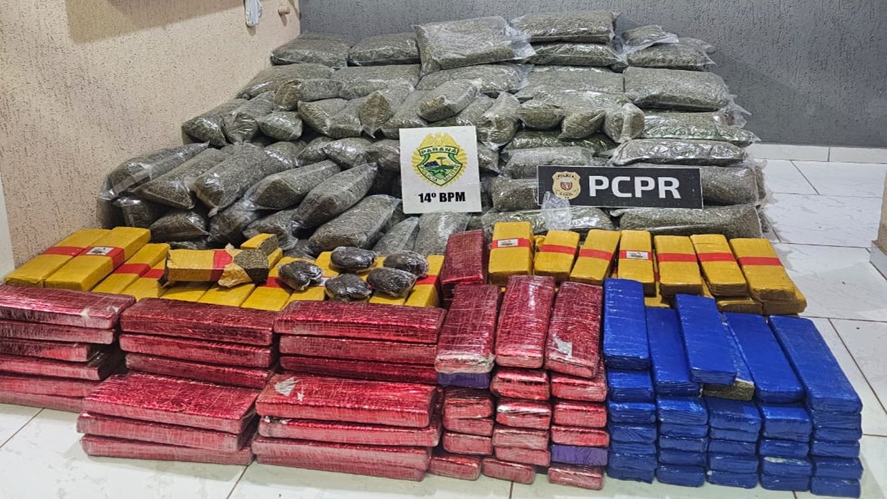 Operação conjunta da Polícia Civil e da Polícia Militar apreende quase 300 quilos de drogas na região de Céu Azul