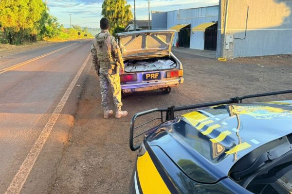PRF apreende 200 quilos de agrotóxicos contrabandeados na PR-180, em Cascavel