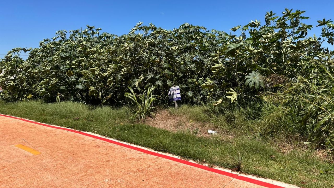 Prefeitura de Corbélia orienta proprietários sobre a manutenção de lotes urbanos em 2026