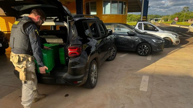 Comboio do tráfico é interceptado pela PRF e mais de 220 kg de maconha são apreendidos na BR-487