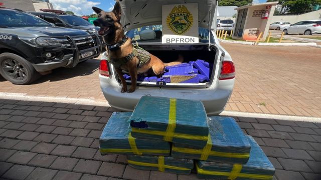 Ação integrada apreende 175 quilos de maconha em Cascavel e causa prejuízo de R$ 465 mil ao crime