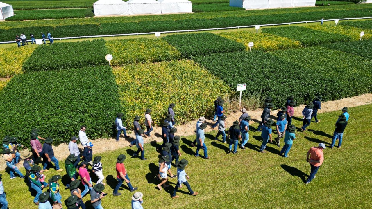 Copacol apresenta pesquisas inéditas e tecnologias no 35º Dia de Campo de Verão