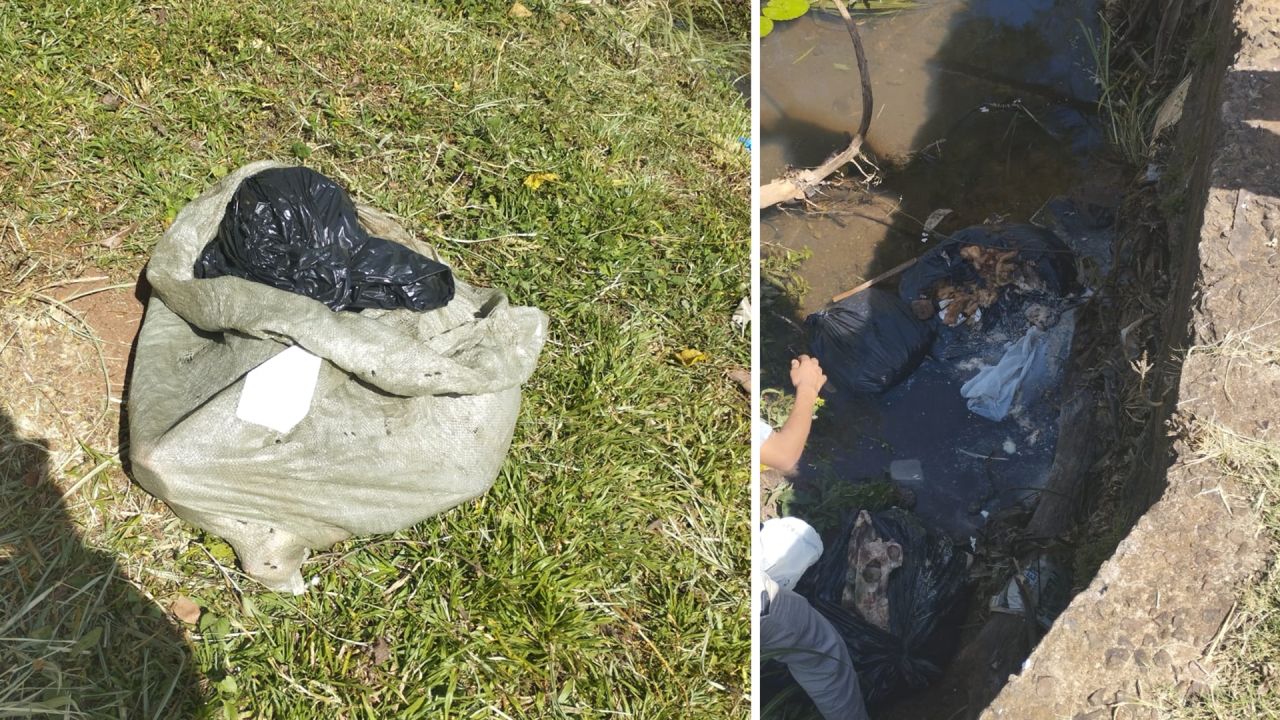 Descarte irregular de carne podre em rio gera alerta ambiental no Bairro Neva, em Cascavel