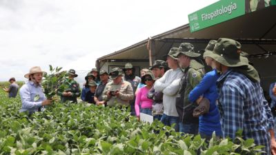 Imagem referente a notícia: Ganho de produtividade pela pesquisa de cultivares é destaque do 35º Dia de Campo Copacol