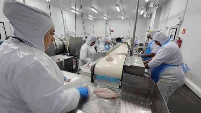 Imagem referente a notícia: Show Rural vai apresentar equipamentos e terá palestras sobre a criação de peixes