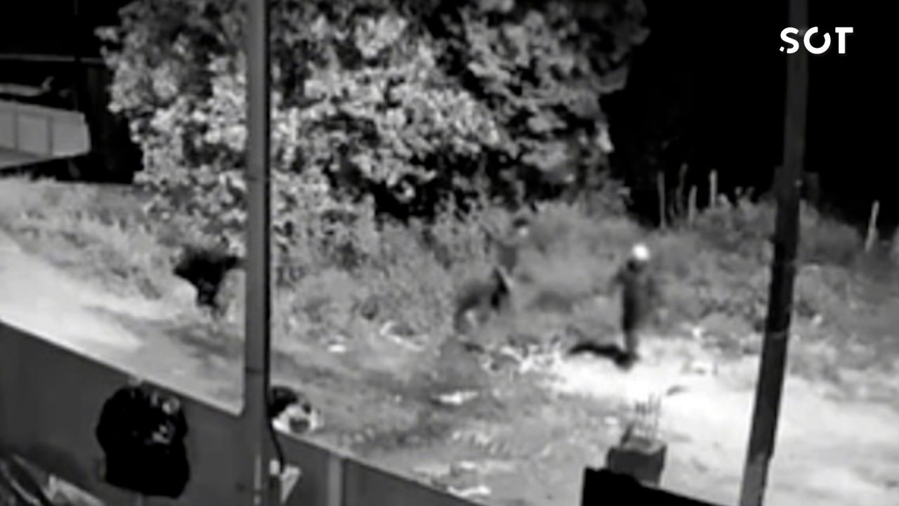 Polícia Civil conclui inquérito e indicia quatro suspeitos por latrocínio de adolescente de 17 anos no Paraná
