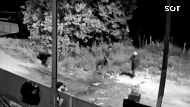 Imagem referente a notícia: Polícia Civil conclui inquérito e indicia quatro suspeitos por latrocínio de adolescente de 17 anos no Paraná