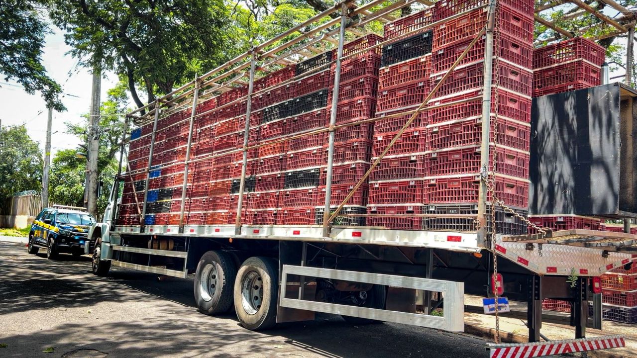 PRF apreende quase 2 toneladas de maconha em caminhão com carga de frango vivo em Nova Esperança