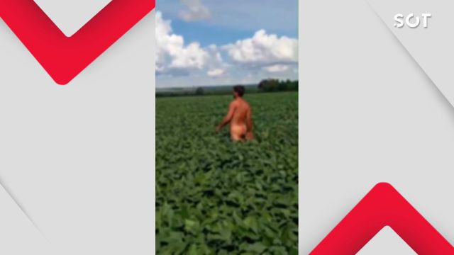 Imagem referente a notícia: Homem é flagrado caminhando completamente pelado em plantação de soja, no norte do Paraná