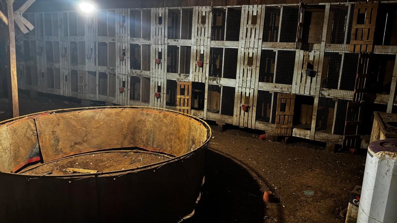 PF deflagra Operação Saleiro e mira crimes ambientais e tráfico na fronteira do Paraná e Santa Catarina