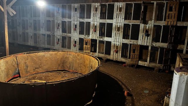 Imagem referente a notícia: PF deflagra Operação Saleiro e mira crimes ambientais e tráfico na fronteira do Paraná e Santa Catarina