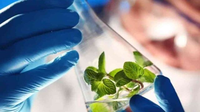 Imagem referente a notícia: Biocoop revelará a sua inédita linha de produtos pó molhável