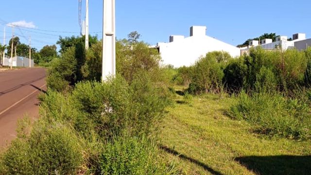 Imagem referente a notícia: Mato alto e terrenos abandonados preocupam moradores na região norte de Cascavel