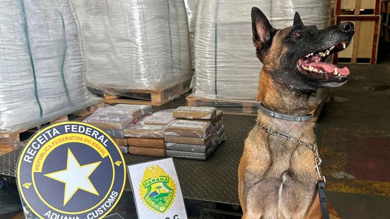 Operação conjunta Receita Federal com Polícia Militar do PR encontra 38 quilos de cocaína em terminal privado em Paranaguá