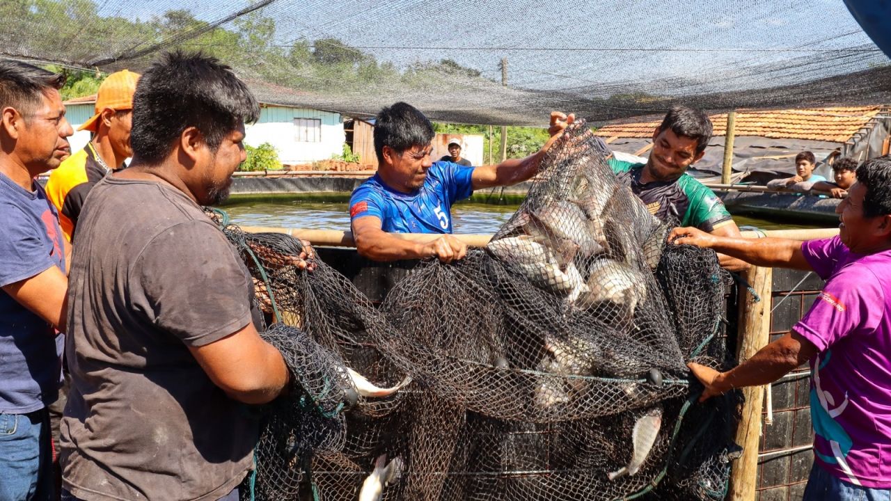 Comunidade Avá Guarani realiza manejo sustentável de piscicultura em tanque elevado no oeste do Paraná