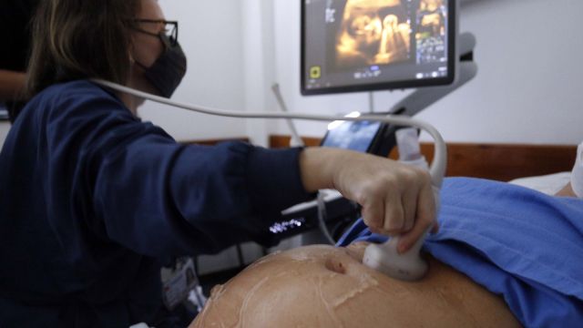 Imagem referente a notícia: Paraná é o segundo estado com maior redução da gravidez na adolescência