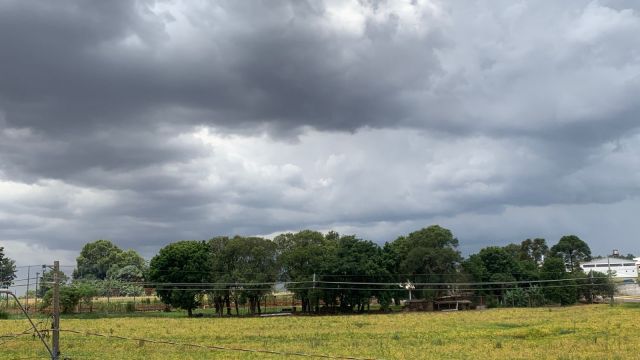 Imagem referente a notícia: Chuva praticamente garantida: Cascavel entra em sábado com 96% de chance de pancadas