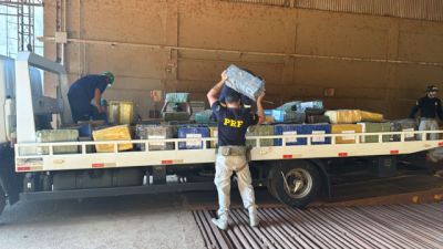 Imagem referente a notícia: Mais de 3 toneladas de maconha são encontradas escondidas em carga de soja no Paraná