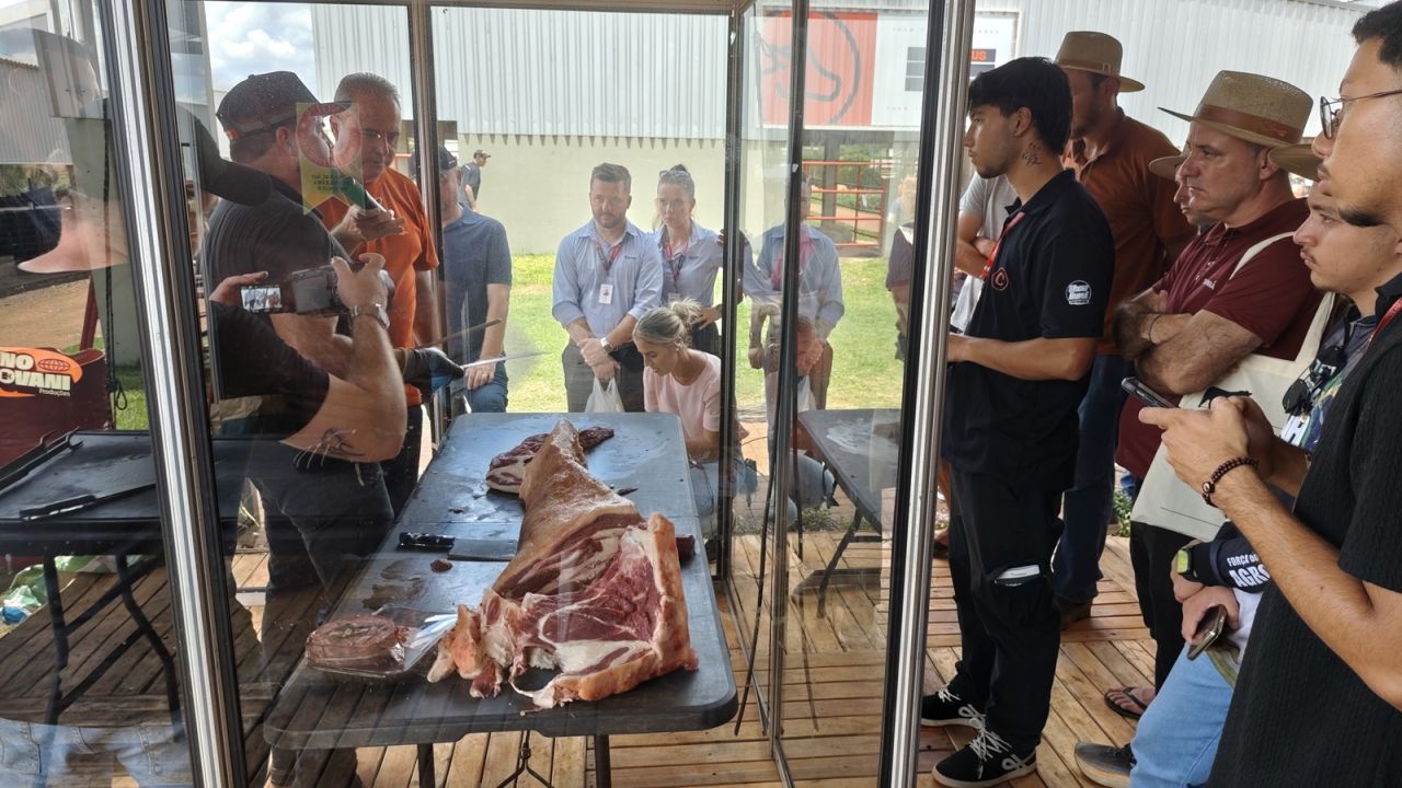 Desossa técnica destaca rentabilidade superior de carcaças Angus na Coopavel