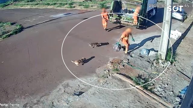 Coletores de lixo são flagrados agredindo cães de rua em Cascavel e caso gera revolta no bairro Cascavel Velho