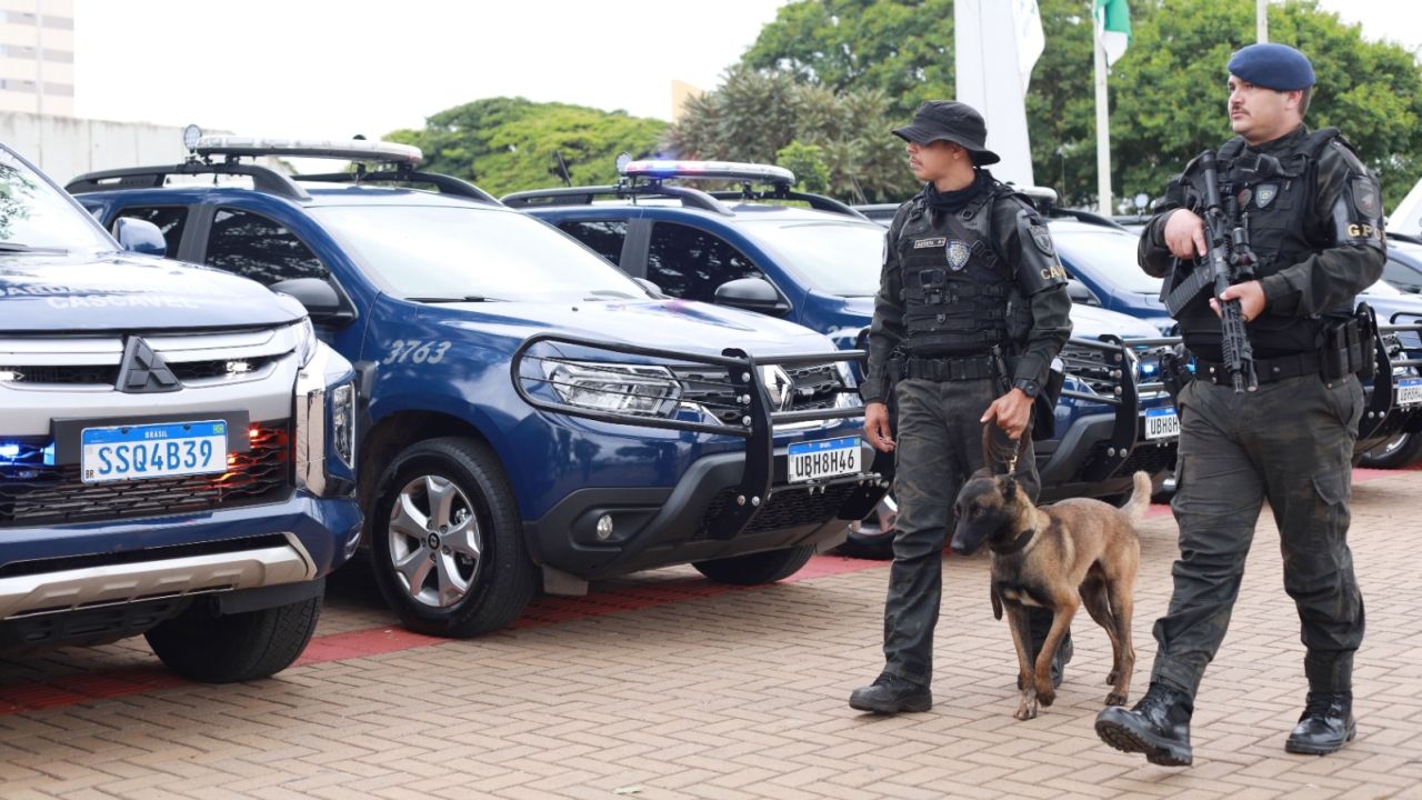 Operação Resgate pela Vida ID 2026 fecha 30 dias com quase 140 presos, meia tonelada de drogas apreendidas e impacto direto nas ruas