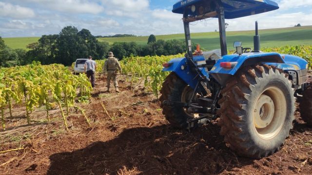 Perseguição na BR-277 termina com apreensão de 273 kg de maconha e prisão em Palmeira