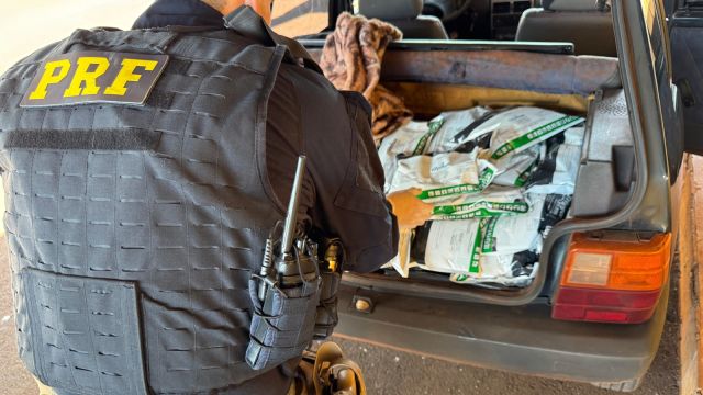 PRF flagra adolescente com mais de 300 kg de agrotóxicos contrabandeados no Paraná