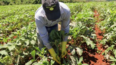 Imagem referente a notícia: Coopera Paraná consolida sua maior edição com 220 projetos na fase preliminar de seleção