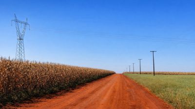 Imagem referente a notícia: Sistema FAEP apoia PL que repara produtor rural por perdas decorrentes da falta de energia elétrica